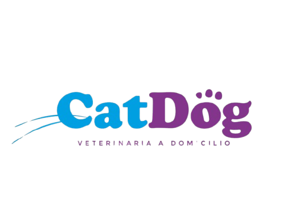 CatDog Veterinaria a Domicilio